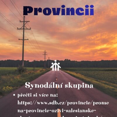 <a href='https://www.disfrystak.cz/synodalni-skupina-k-promene-provincie/' title='Synodální skupina k Proměně Provincie'>Synodální skupina k Proměně Provincie</a>